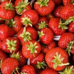 「いちご白書をもう一度」を歌うコツ
